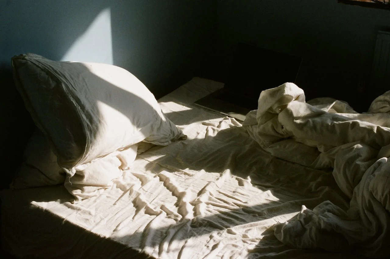 Lina Scheynius